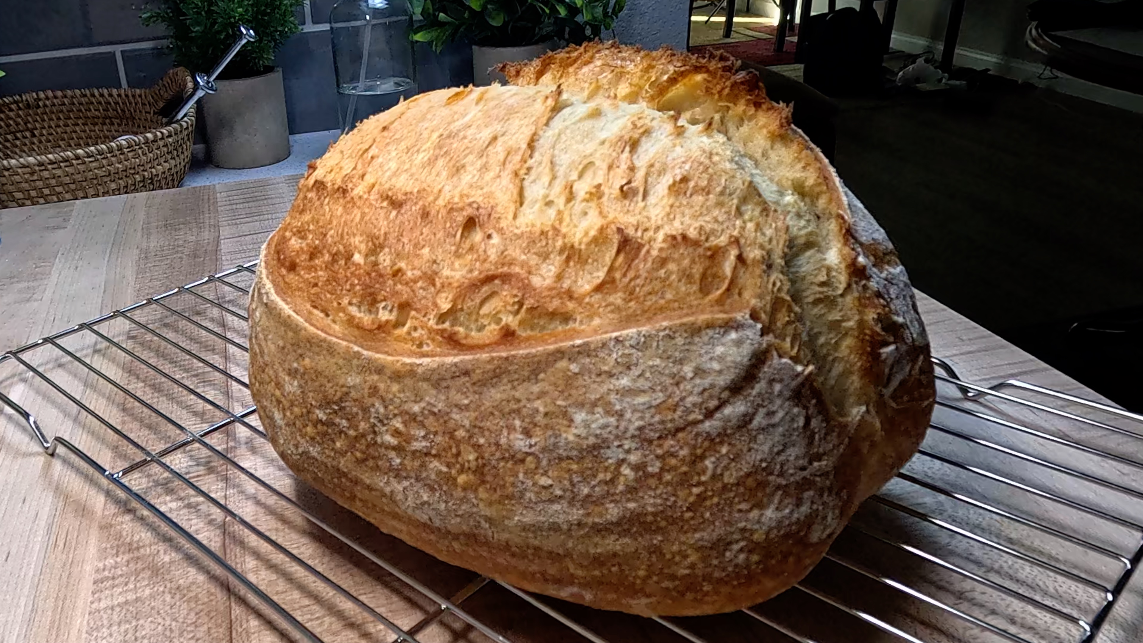 Your First Loaf: Complete Sourdough Beginner's Guide