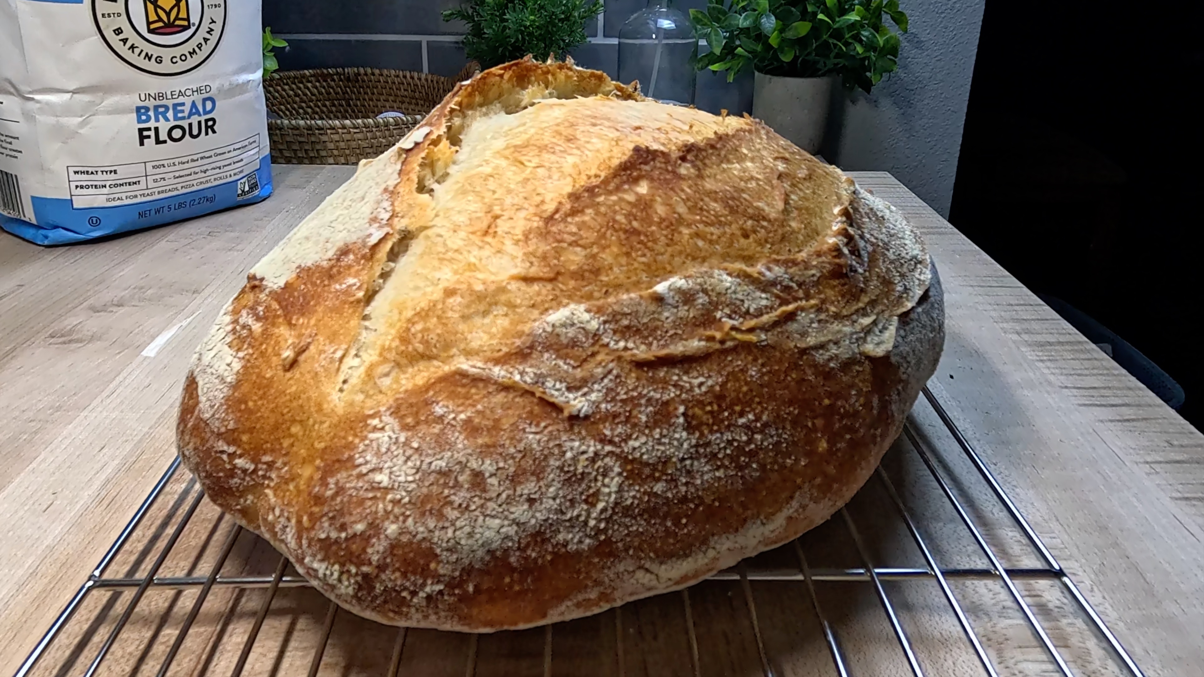 Same Day Sourdough: Fresh Bread from Starter to Table in Hours