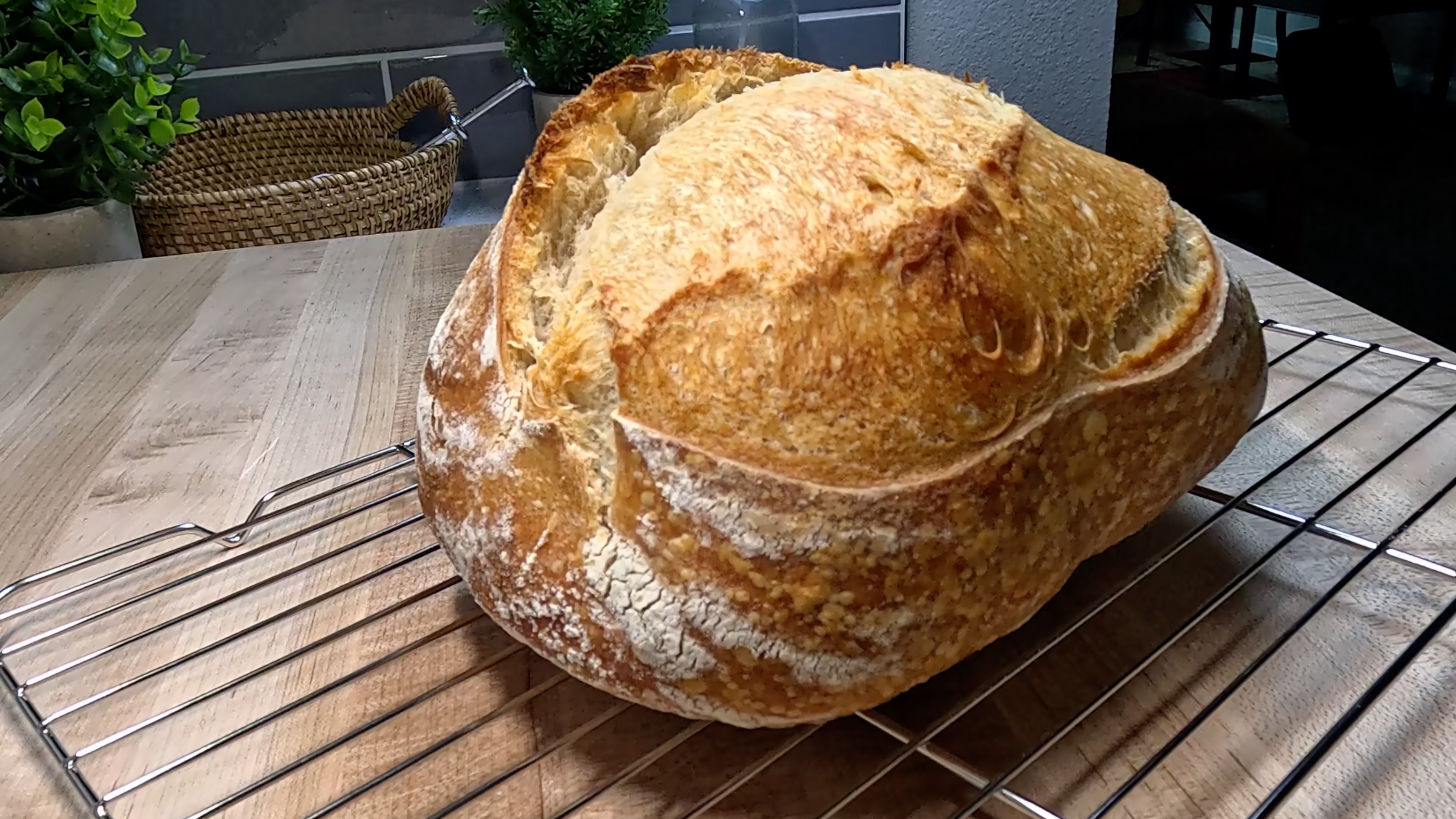 Sourdough Bread (No-Knead, NO Dutch Oven)