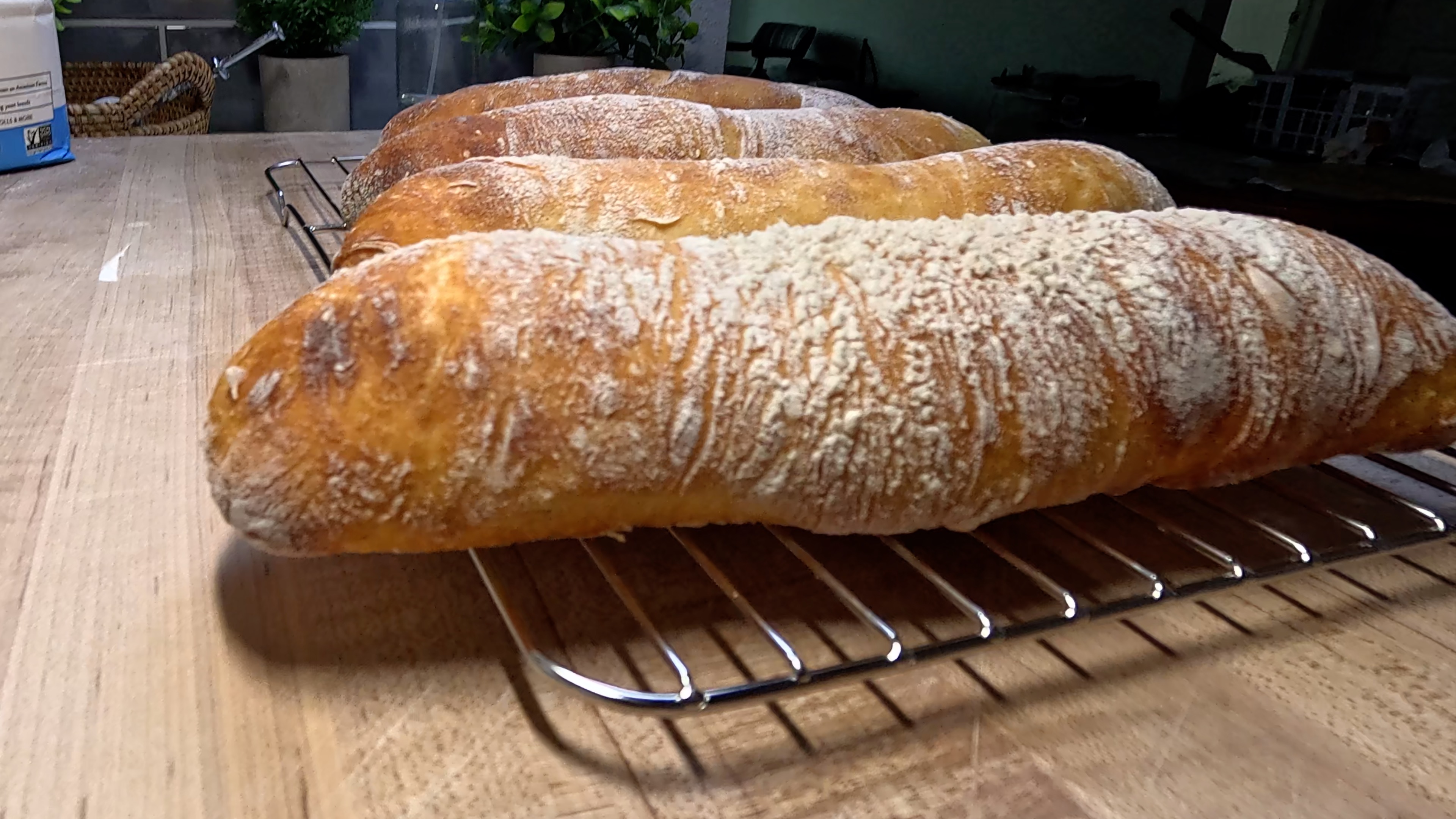 Rustic No-Fuss Sourdough Baguettes